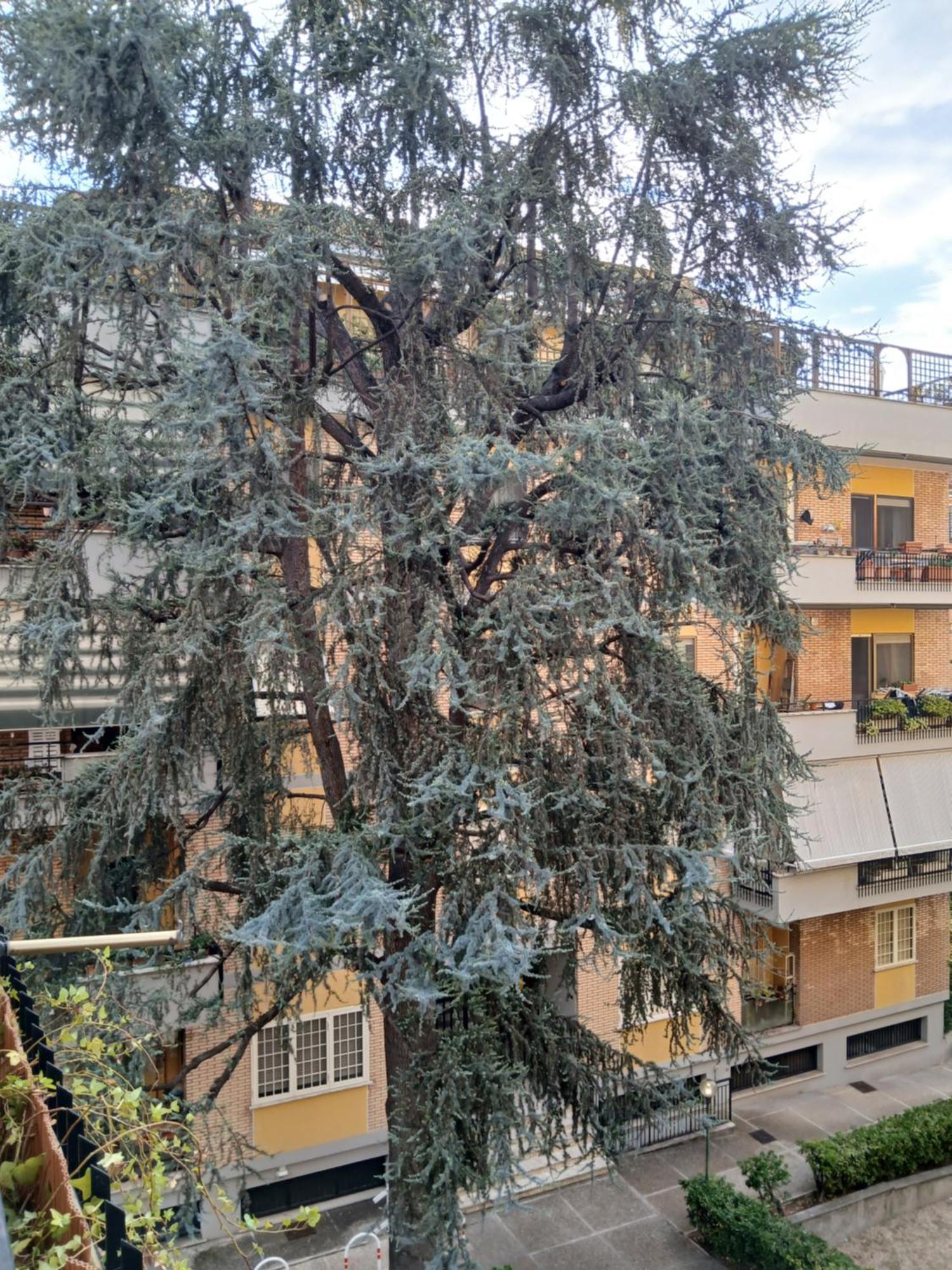La Casa Di Antonella E Giuseppe Apartment Roma Ngoại thất bức ảnh