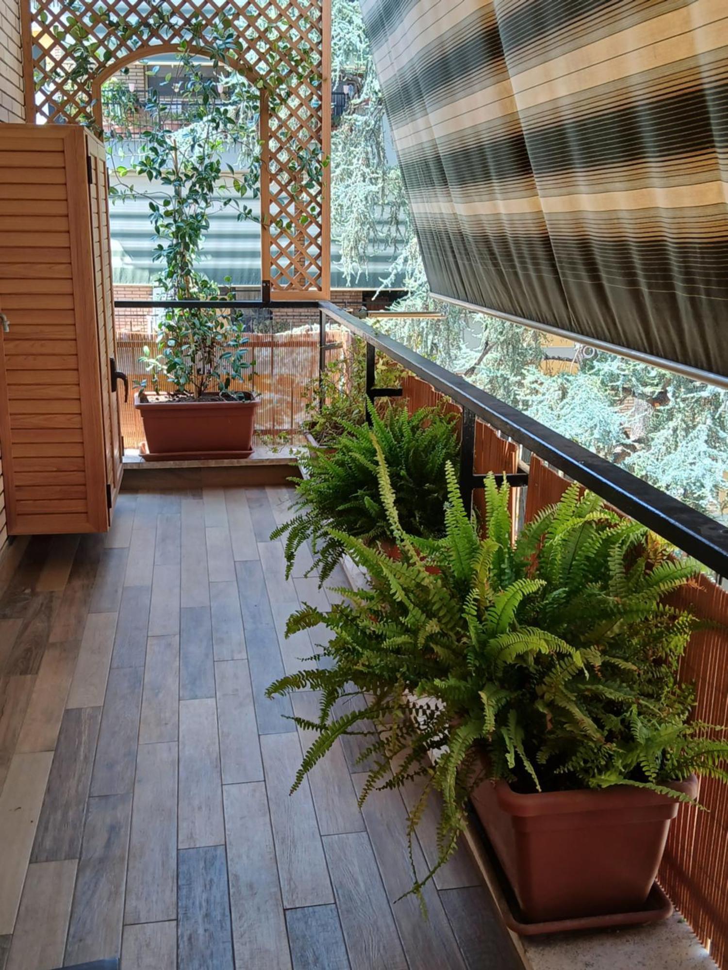 La Casa Di Antonella E Giuseppe Apartment Roma Ngoại thất bức ảnh
