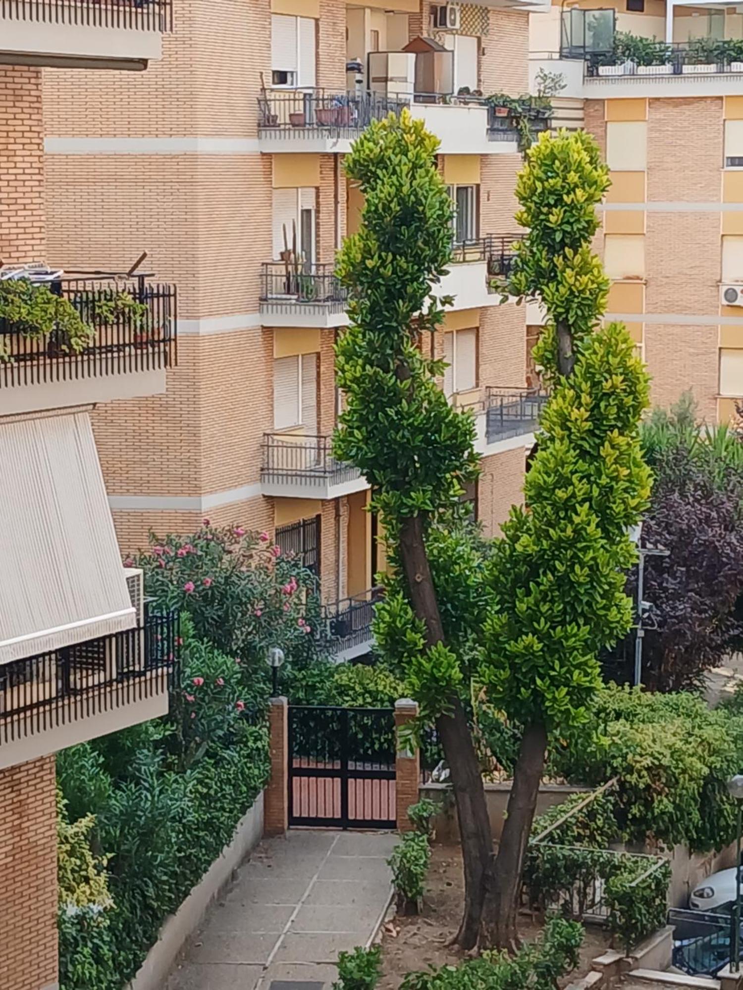 La Casa Di Antonella E Giuseppe Apartment Roma Ngoại thất bức ảnh